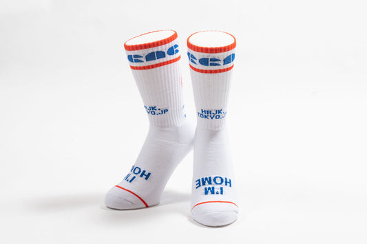 GRAPHICSOCKS WHITE 22-25㎝