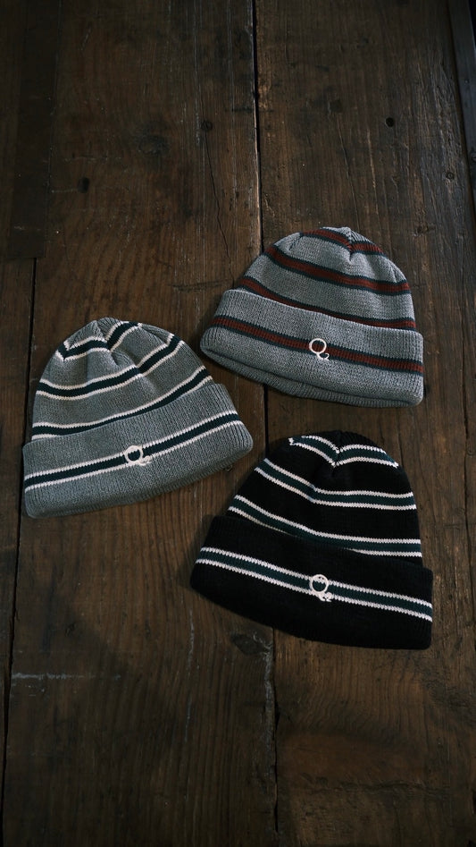 Q2 Logo Beanie